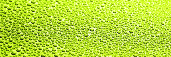 71 %28650x1600%29